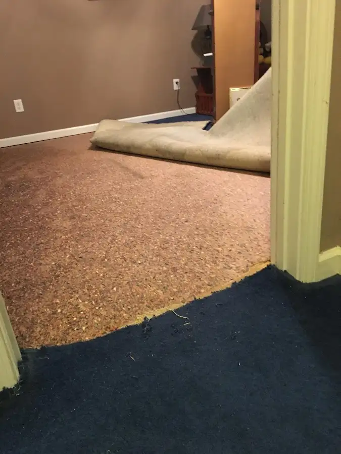 Carpet pad removal revealing water damage during Water Mitigation Services in New Baltimore