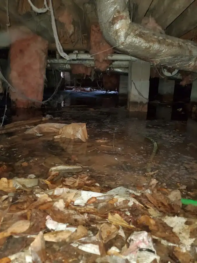 Crawl space flood assessment for Commercial Water Damage Restoration in New Baltimore